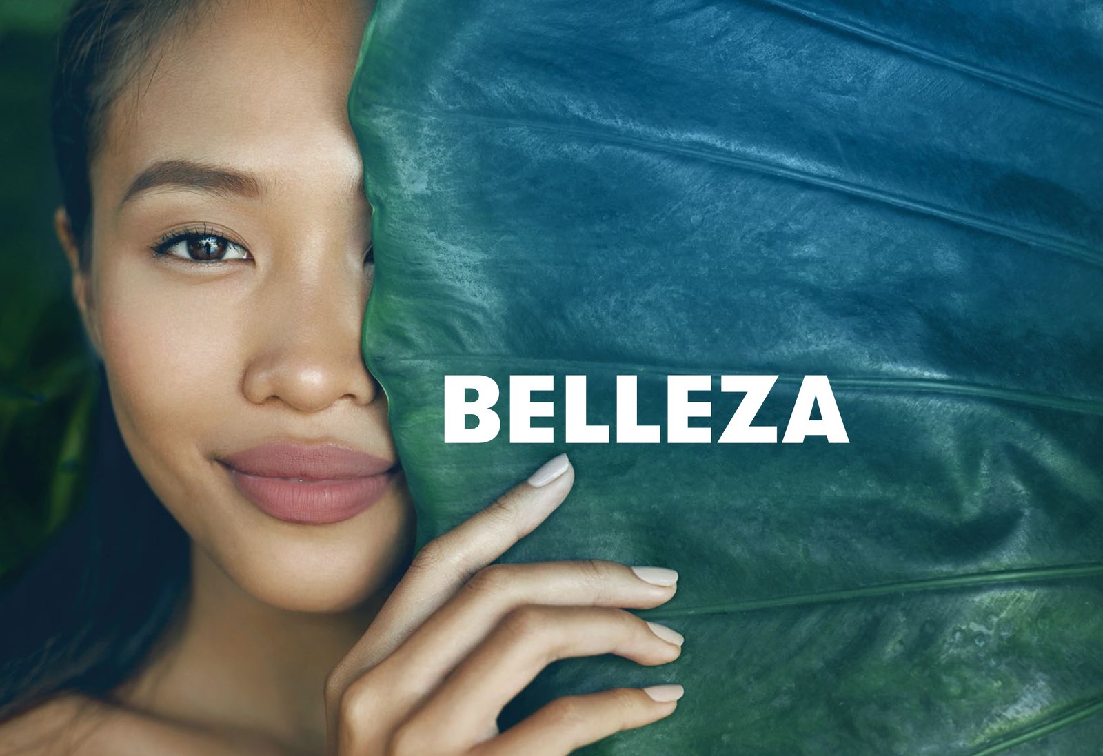 Catálogo de Belleza Artistry